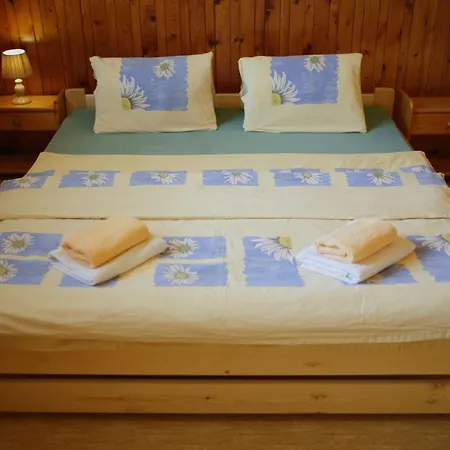 Orman Evi Orli Vrch *