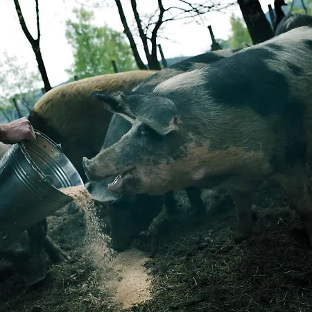 Gerendaház Orli Vrch Zlaté Hory