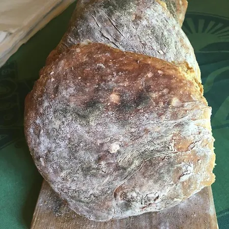 Orlí Vrch Chata Zlaté Hory